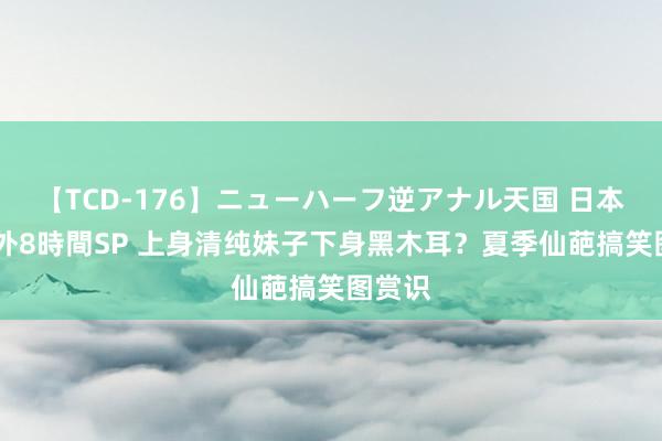 【TCD-176】ニューハーフ逆アナル天国 日本VS海外8時間SP 上身清纯妹子下身黑木耳?夏季仙葩搞笑图赏识