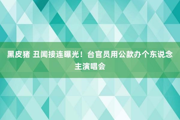黑皮猪 丑闻接连曝光！台官员用公款办个东说念主演唱会