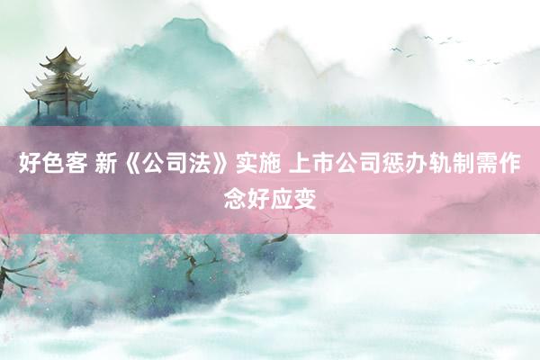 好色客 新《公司法》实施 上市公司惩办轨制需作念好应变