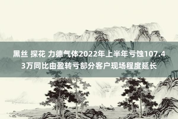 黑丝 探花 力德气体2022年上半年亏蚀107.43万同比由盈转亏部分客户现场程度延长