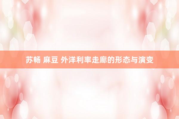 苏畅 麻豆 外洋利率走廊的形态与演变