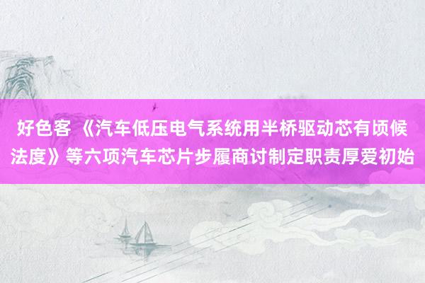 好色客 《汽车低压电气系统用半桥驱动芯有顷候法度》等六项汽车芯片步履商讨制定职责厚爱初始