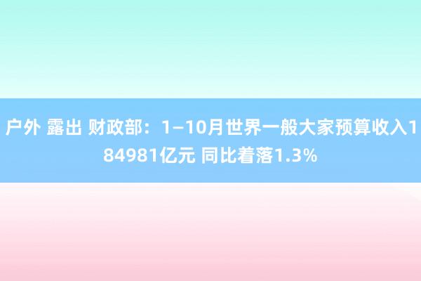户外 露出 财政部：1—10月世界一般大家预算收入184981亿元 同比着落1.3%