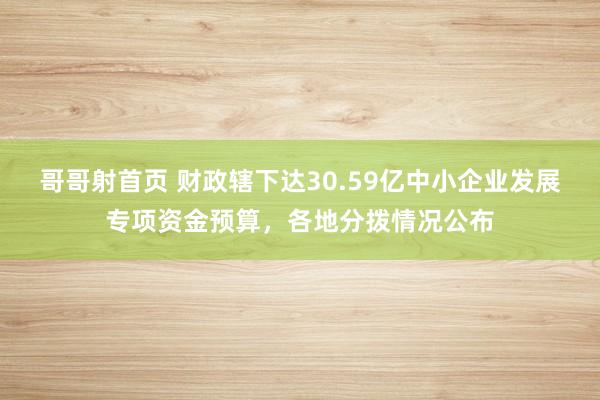 哥哥射首页 财政辖下达30.59亿中小企业发展专项资金预算，各地分拨情况公布