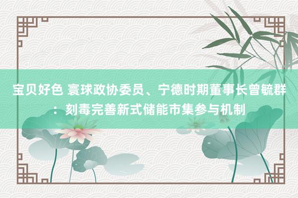 宝贝好色 寰球政协委员、宁德时期董事长曾毓群：刻毒完善新式储能市集参与机制