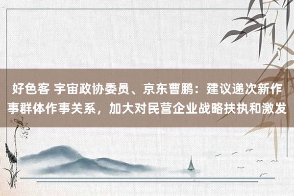 好色客 宇宙政协委员、京东曹鹏：建议递次新作事群体作事关系，加大对民营企业战略扶执和激发