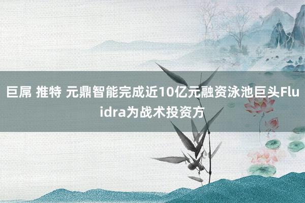 巨屌 推特 元鼎智能完成近10亿元融资泳池巨头Fluidra为战术投资方