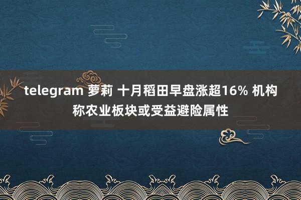 telegram 萝莉 十月稻田早盘涨超16% 机构称农业板块或受益避险属性